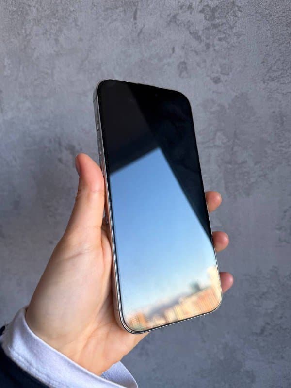 iPhone 16 Pro Max 256 ГБ, white titanium 2