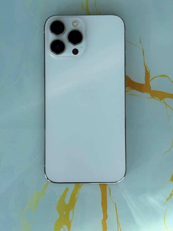 iPhone 13 Pro Max 256 GB Silver