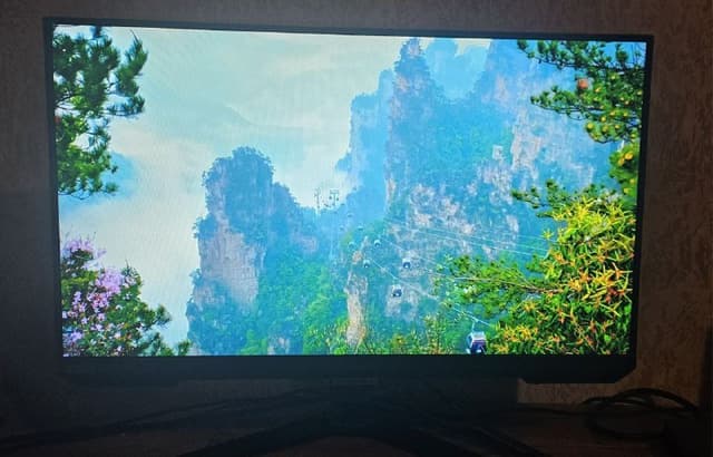 Монитор Samsung Odyssey G4 S25BG400EI 25 дюймов