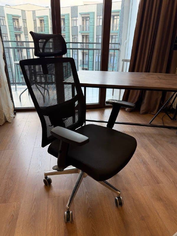 Стол, компьютерный стул, два фикуса с землей 4