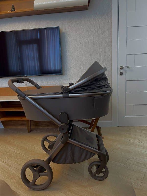 Коляска ANEX Flo Yuki 2 в 1 1