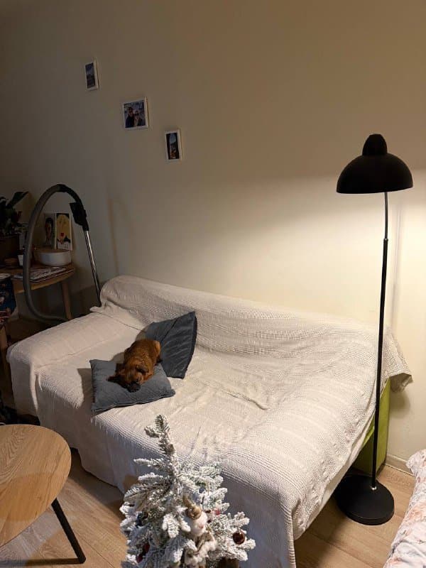 Диван раскладной среднего размера