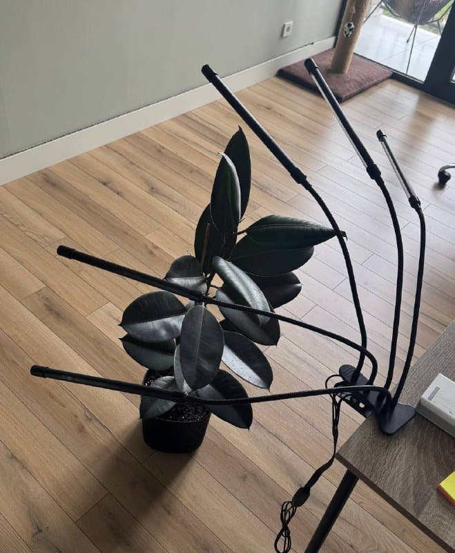 Лампа для комнатных растений с USB и таймером 1