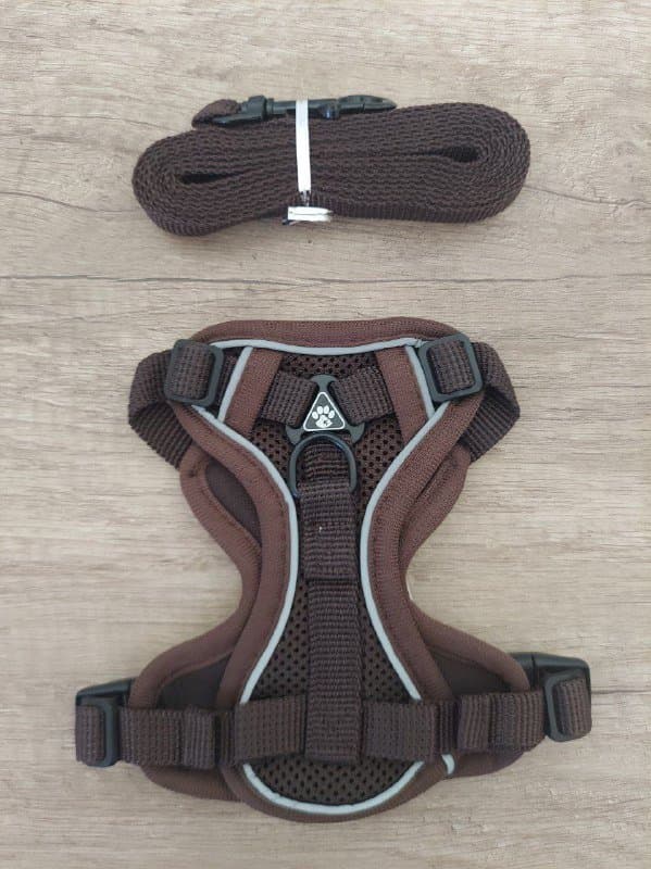 Шлейка для кошек и собак мелких пород XS бежевый, коричневый 3