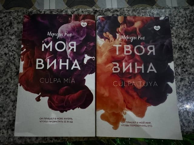Две книги Моя вина, Твоя вина