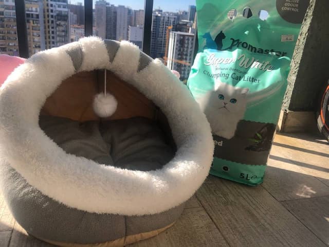 Домик для кота или кошки