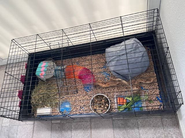 Клетка для морских свинок с поилками и домиками