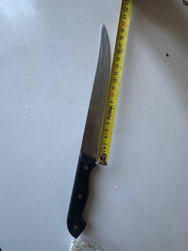 Кухонный острый нож длина лезвия 20 см