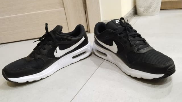 Кроссовки мужские Nike Air Max SC cw4555-002