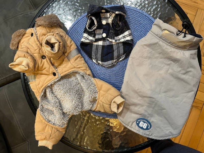 Куртки и рубашка для собак 1