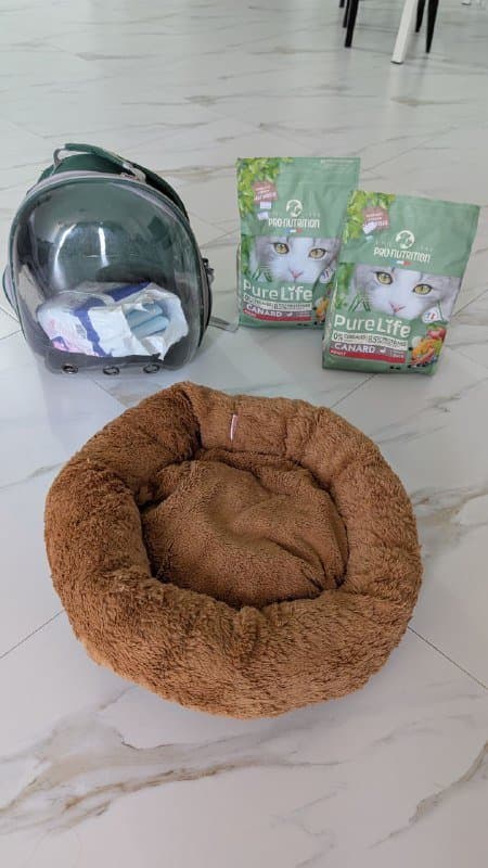 Рюкзак-переноска, лежанка, корм для кошек