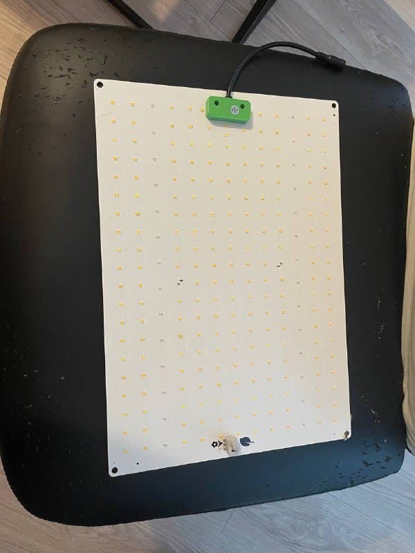 LED лампа для растений 100w, два горшка 11л