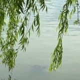 Пылесос Karcher VC 3