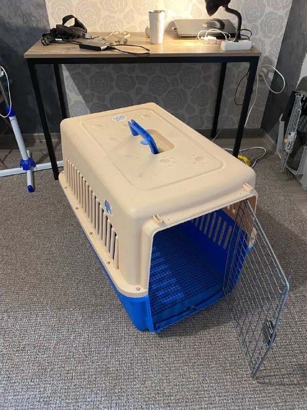 Авиабокс для собак 1