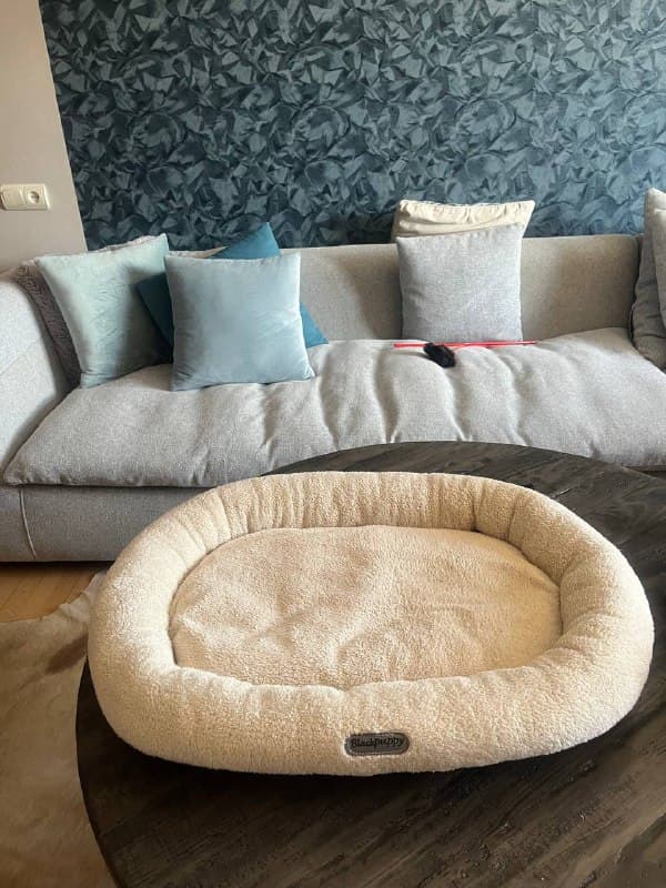 Лежанка для средних собак, Домик для кошек