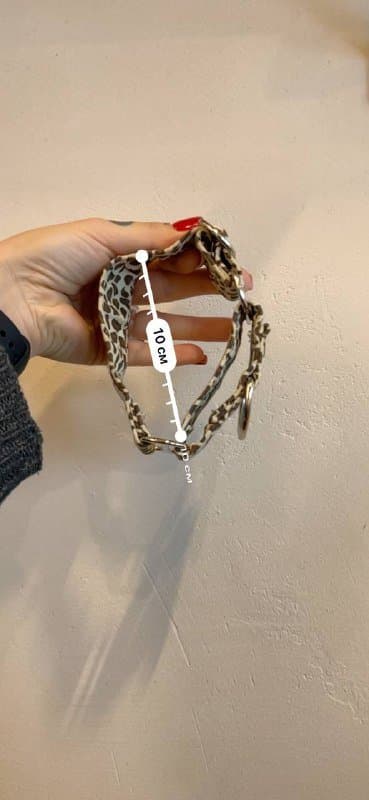 Ошейник на собаку между маленьким и средним размером