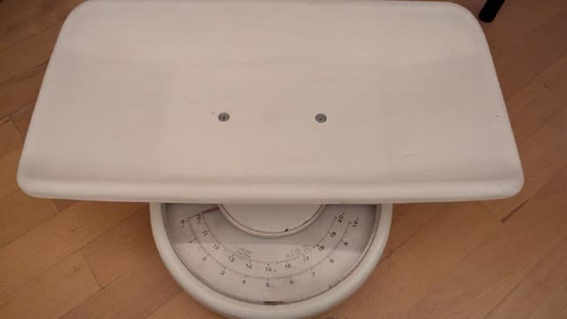 Весы детские для детей и питомцев до 20 кг