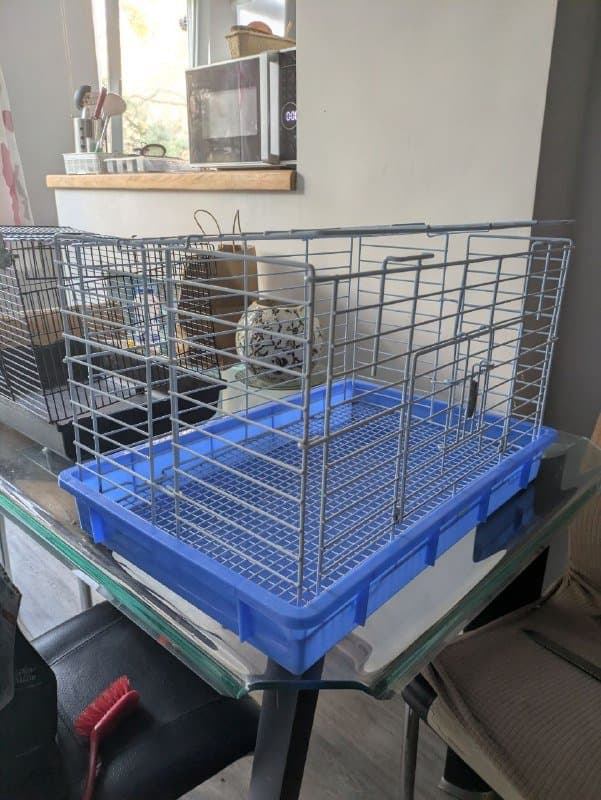 Клетка для грызуна, мисочки, средства от паразитов, сено, гранулы для морской свинки