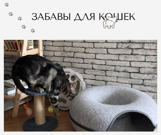 Пончик тоннель лежанка, мини-когтеточка, интерактивная игрушка для кошек