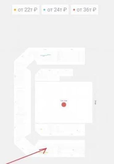 2 билета на концерт Тилля Линдеманна