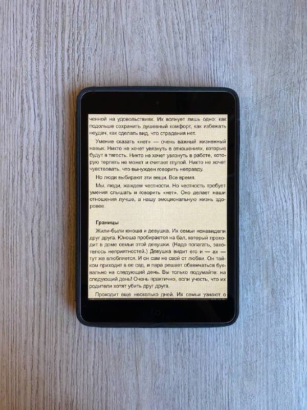 IPad Mini 1 с чехлом 2