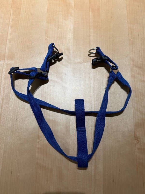 Шлейки, поводок, клетка и игрушки для собаки 4