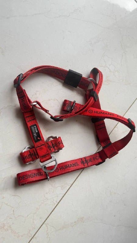 Анатомическая шлейка для собак Staya размер M