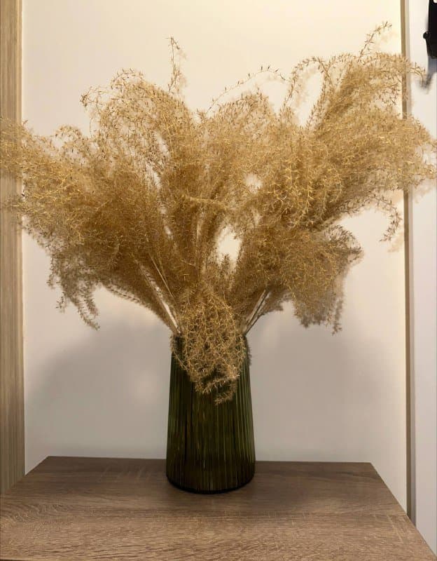 Ваза с сухоцветами комплект