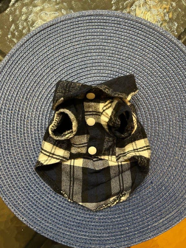 Куртки и рубашка для собак 2