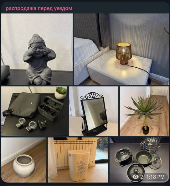 Куртка кожаная, пушиста куртка, мужская ветровка, колонки, кресло, часы, автокормушка, автопоилка, цветочки, монитор, статуэтка будды, настольная лампа, dji mini mic 2, зеркало, пальмы, вазы, корзина для белья, пароварка, набор посуды антипригарной 1