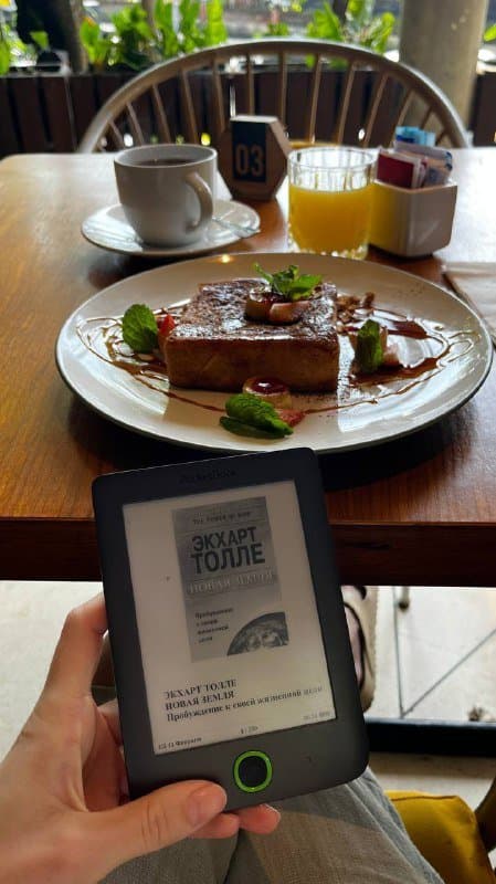 Электронная книга PocketBook 515