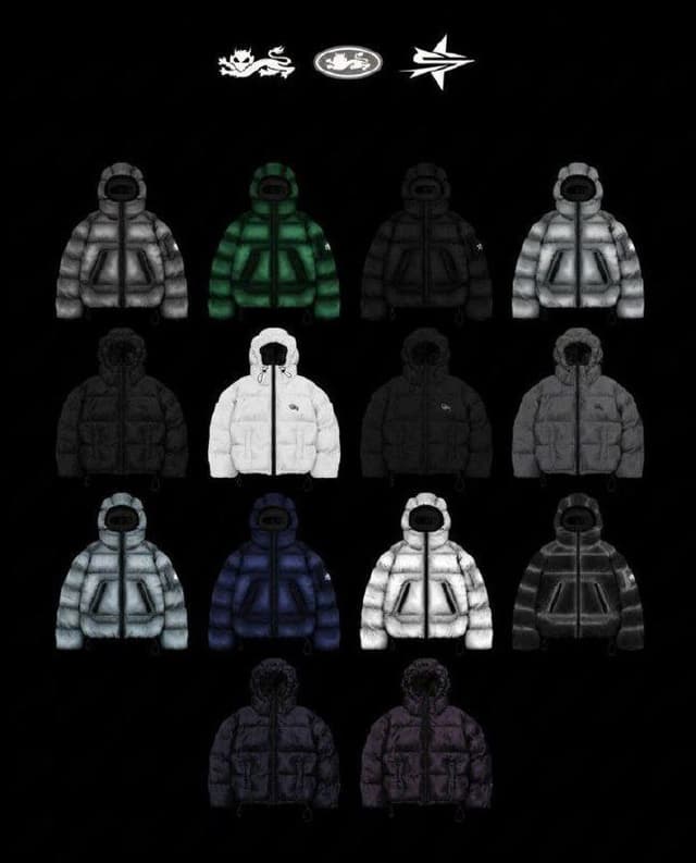 Пуховики tommy sinny любого цвета