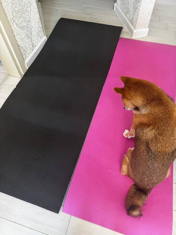 Коврик-пенка для йоги розовый, черный