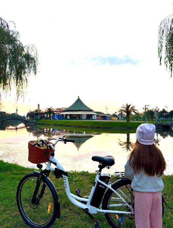 электровелосипед E-bike 3