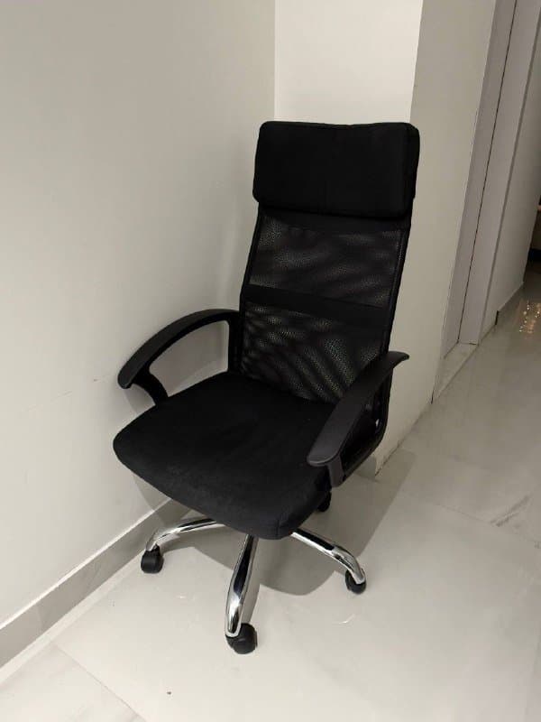 Товары для собак, техника, домашний декор, развлечения, красота 3