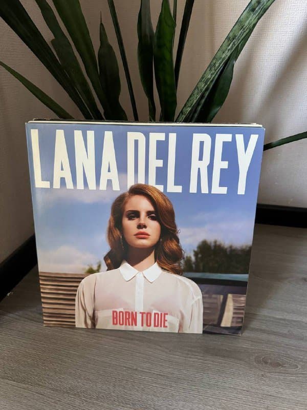 Виниловые пластинки (коллекция) Lan Del Rey, Chemical Brothers и др.