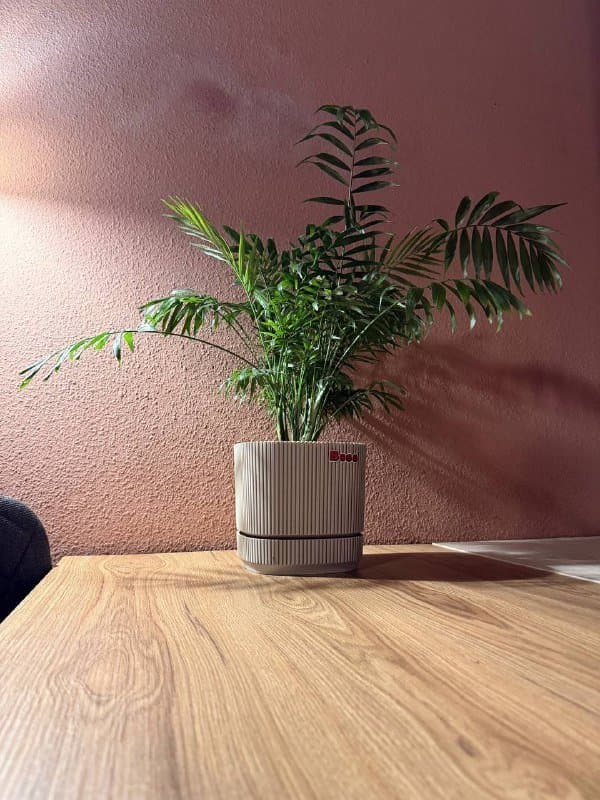 Стол письменный 5