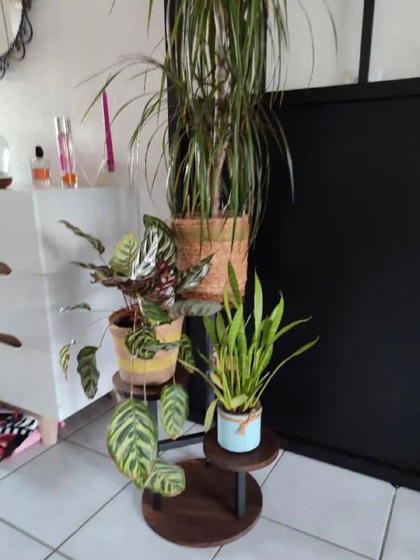 Подставка для растений с металлической рамой