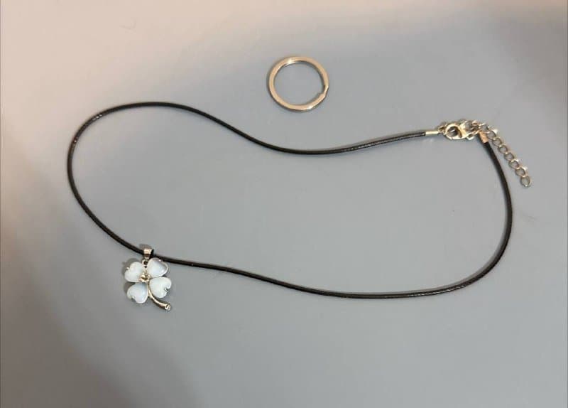 Ведро для мопа, шторка для душа, дерево для зеркала, мультиадаптер, лунный камень, фен, миски, наволочки 7