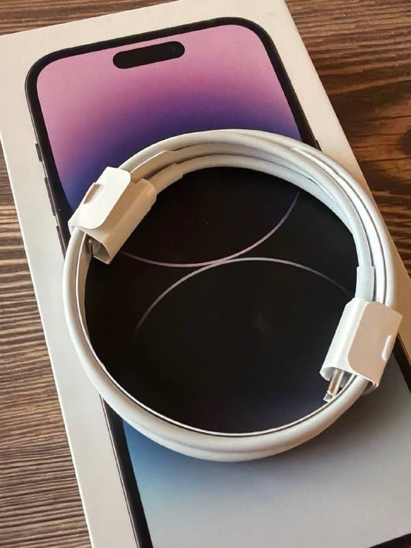 Apple USB-C to Lightning Cable