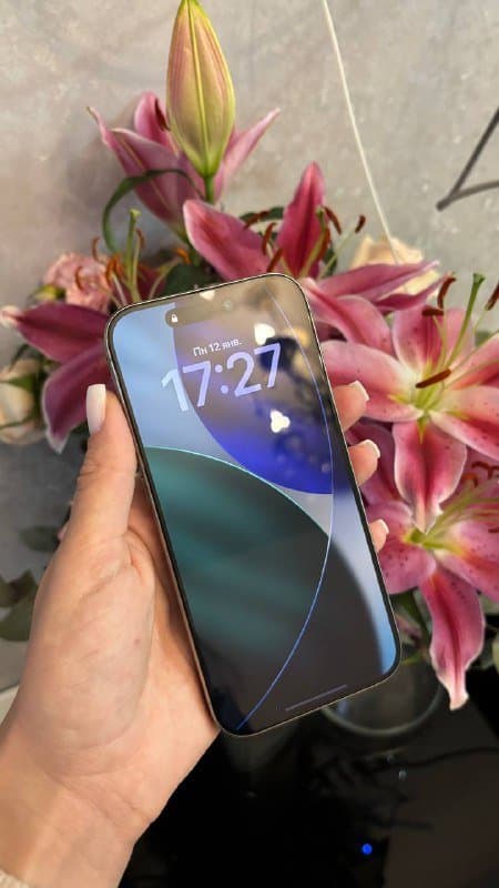 iPhone 15 Pro 128Gb Natural Titanium 3