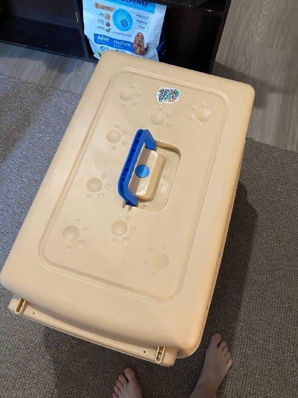 Авиабокс для собак 3