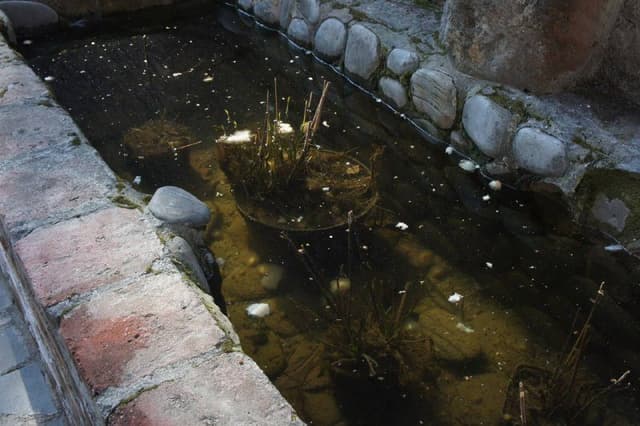 SONY Alpha NEX-5 с объективом 18-55mm