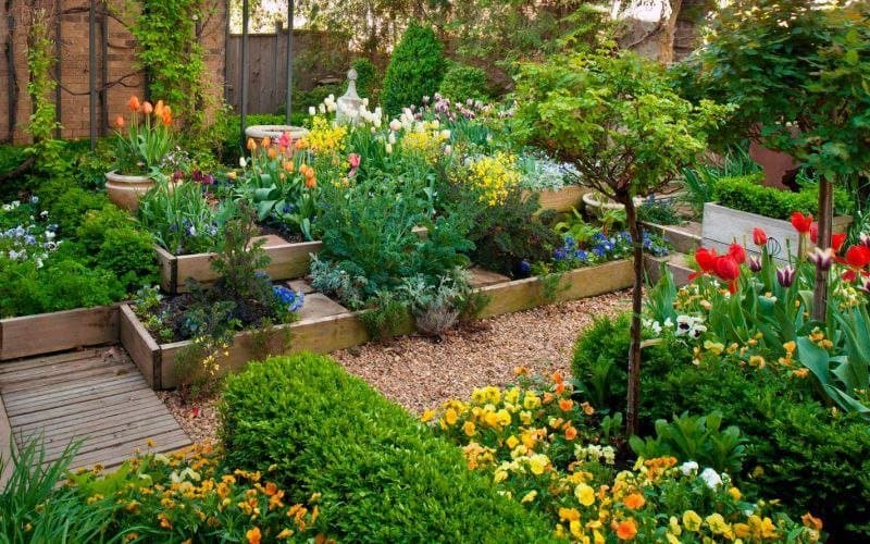 Разные зелёные растения