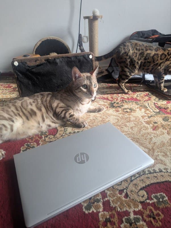 Ноутбук HP ProBook 450 Intel Core i5 16GB 450GB