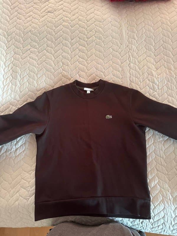 Толстовка Lacoste Мужская 1