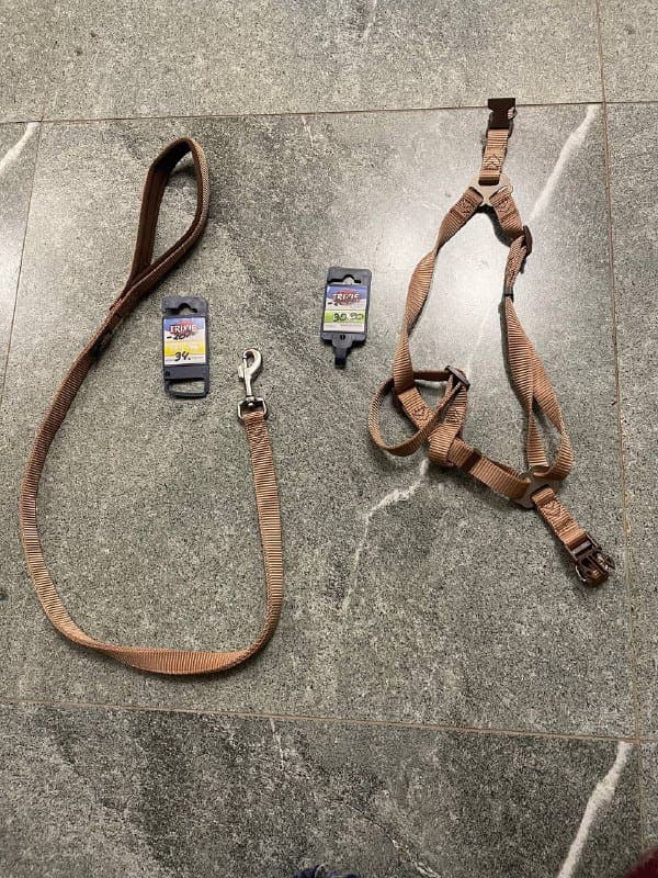 Поводок и шлейка для собаки размер М