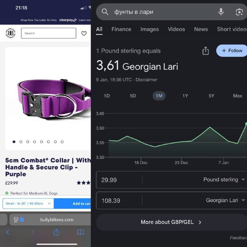 Ошейник Bullybillows Combat Collar для больших собак 2