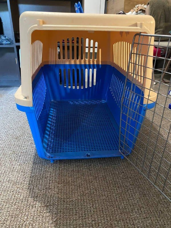 Авиабокс для собак 2