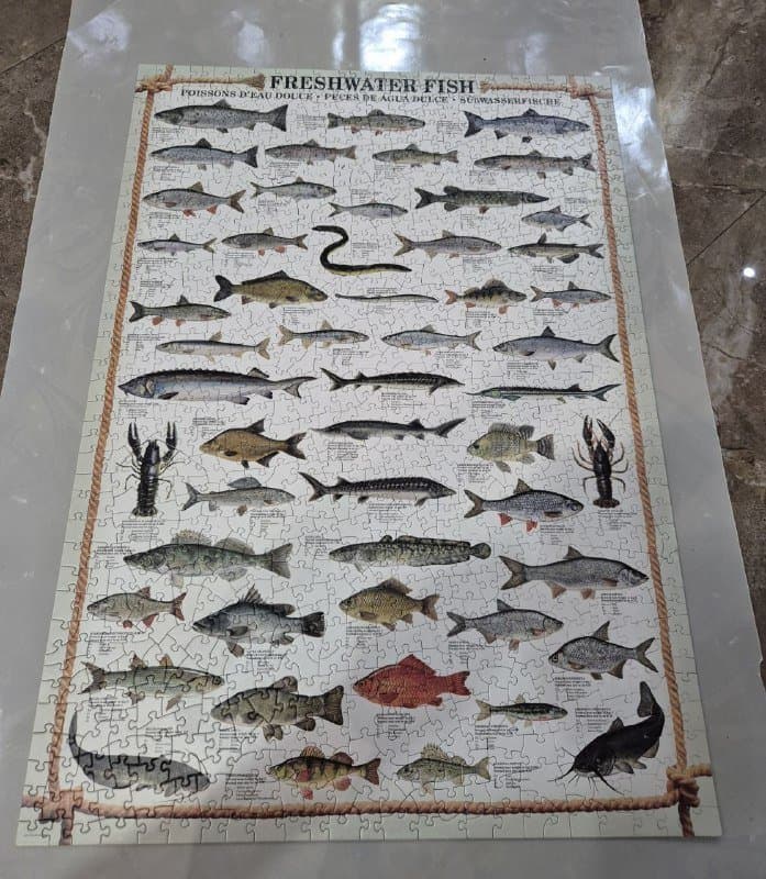 Пазл Eurographics Freshwater fish 1000 элементов 6